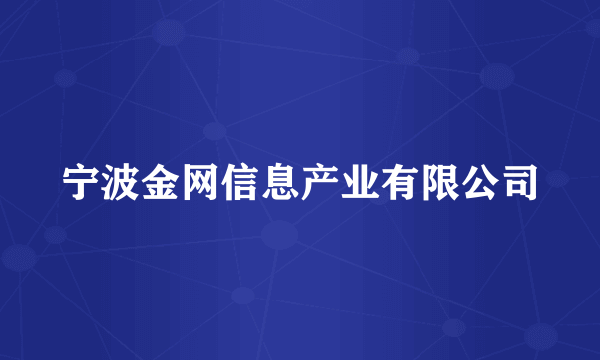 宁波金网信息产业有限公司