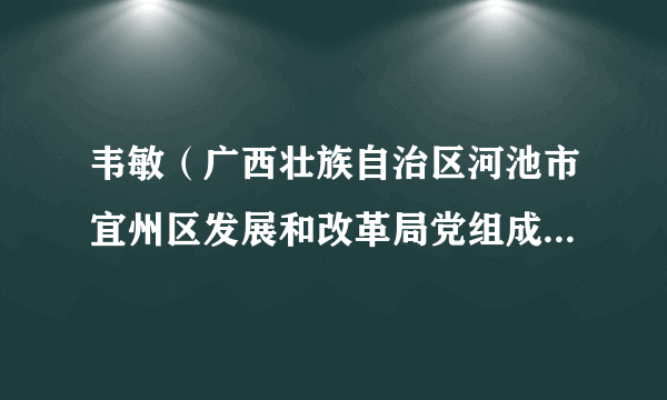 韦敏（广西壮族自治区河池市宜州区发展和改革局党组成员、副局长）