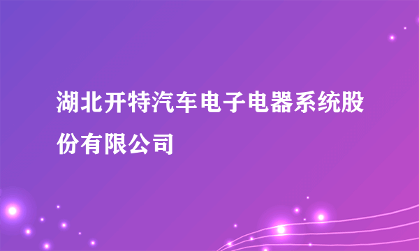 湖北开特汽车电子电器系统股份有限公司