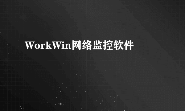 WorkWin网络监控软件