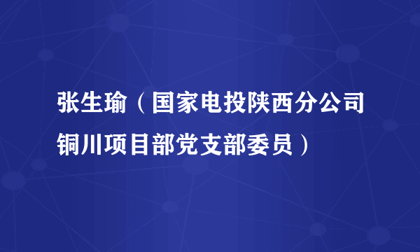 张生瑜（国家电投陕西分公司铜川项目部党支部委员）