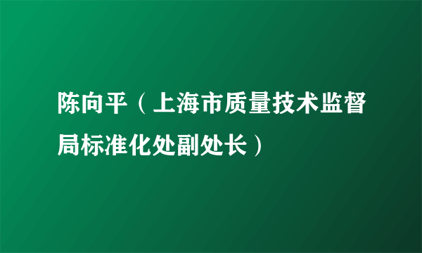 陈向平（上海市质量技术监督局标准化处副处长）