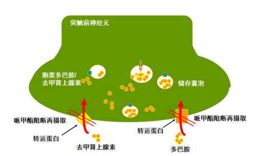 中枢神经兴奋剂