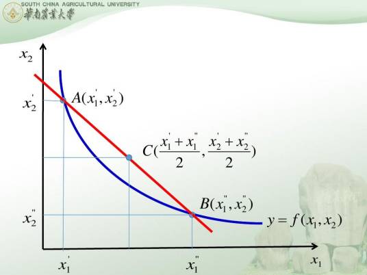 柯布-道格拉斯生产函数（经济学术语）