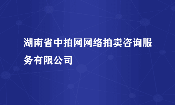 湖南省中拍网网络拍卖咨询服务有限公司