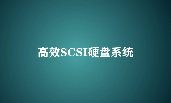 高效SCSI硬盘系统