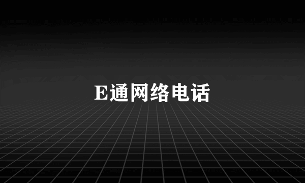 E通网络电话