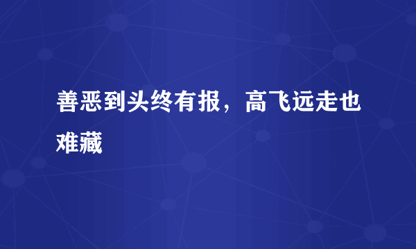 善恶到头终有报，高飞远走也难藏