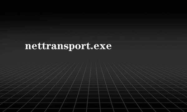 nettransport.exe