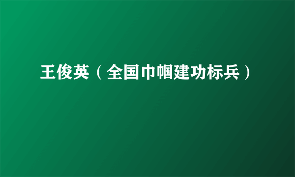 王俊英（全国巾帼建功标兵）