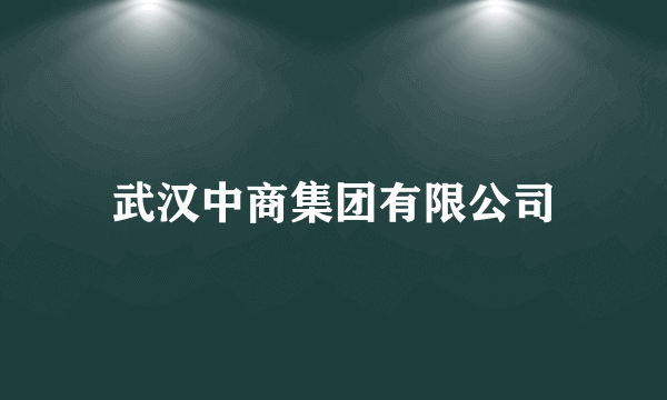 武汉中商集团有限公司