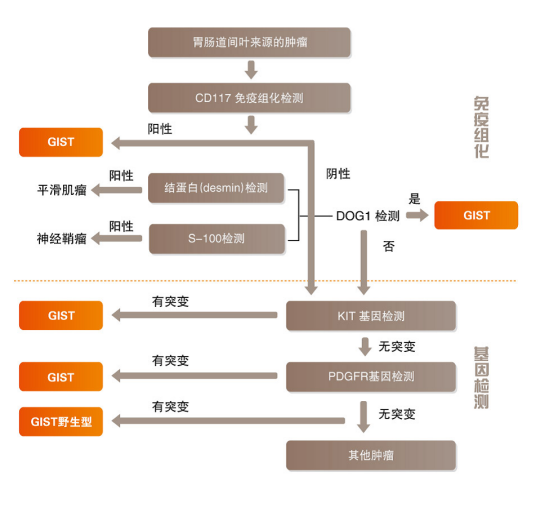 胃肠道间质瘤（疾病名称）