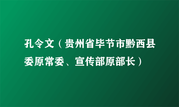 孔令文（贵州省毕节市黔西县委原常委、宣传部原部长）