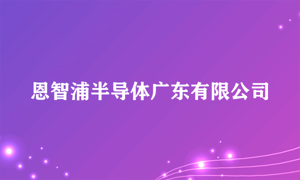 恩智浦半导体广东有限公司