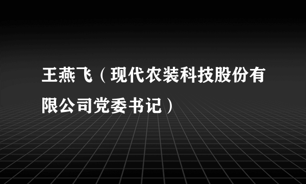 王燕飞（现代农装科技股份有限公司党委书记）