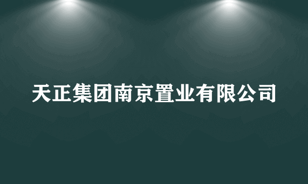 天正集团南京置业有限公司