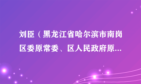 刘臣（黑龙江省哈尔滨市南岗区委原常委、区人民政府原副区长）