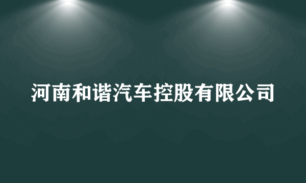 河南和谐汽车控股有限公司