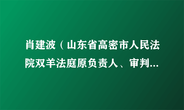 肖建波（山东省高密市人民法院双羊法庭原负责人、审判员、一级法官）