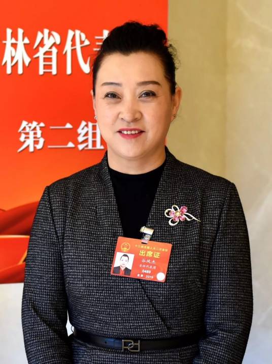 谷凤杰（中共二十大代表、吉林省敦化市大石头镇三道河子村党支部书记兼村委会主任）