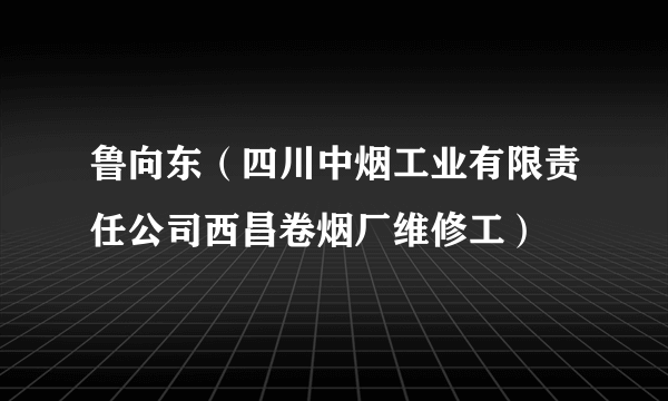 鲁向东（四川中烟工业有限责任公司西昌卷烟厂维修工）