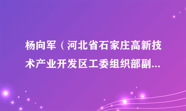 杨向军（河北省石家庄高新技术产业开发区工委组织部副部长、人社局副局长、党组成员、纪检组组长）