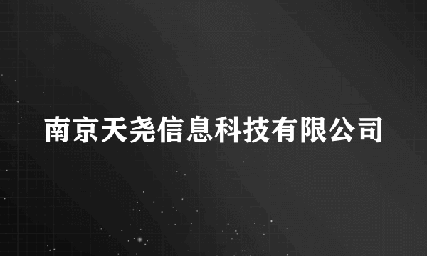 南京天尧信息科技有限公司