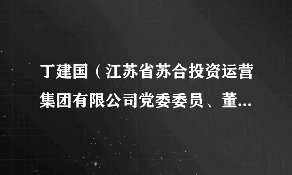 丁建国（江苏省苏合投资运营集团有限公司党委委员、董事、副总经理）