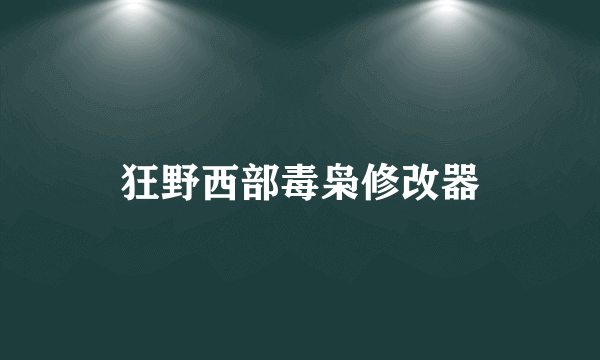 狂野西部毒枭修改器