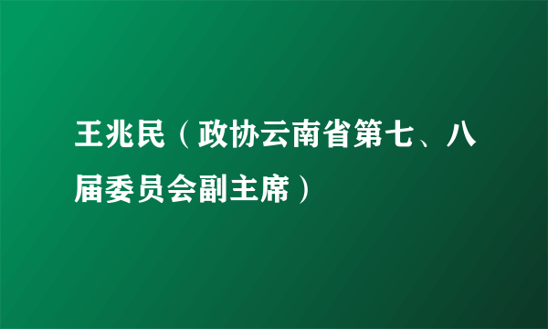 王兆民（政协云南省第七、八届委员会副主席）