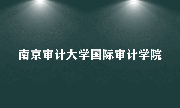 南京审计大学国际审计学院