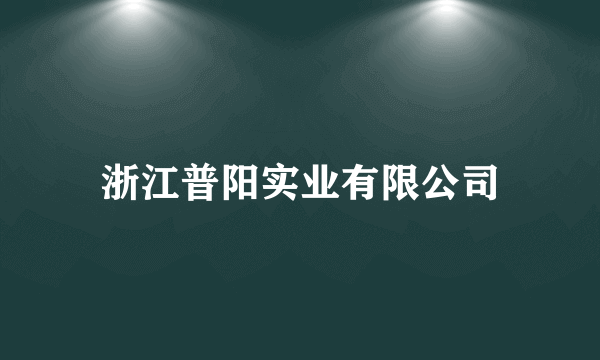 浙江普阳实业有限公司