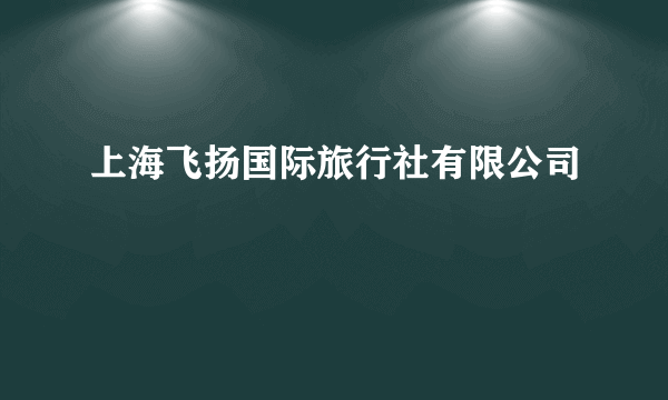 上海飞扬国际旅行社有限公司