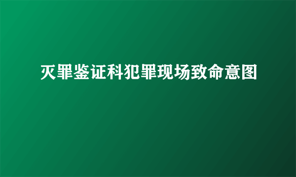 灭罪鉴证科犯罪现场致命意图