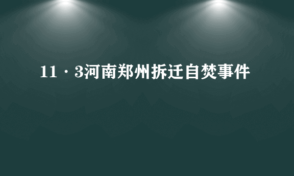 11·3河南郑州拆迁自焚事件