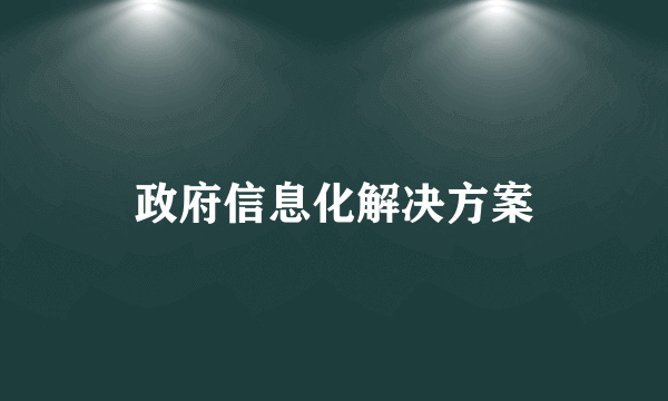 政府信息化解决方案