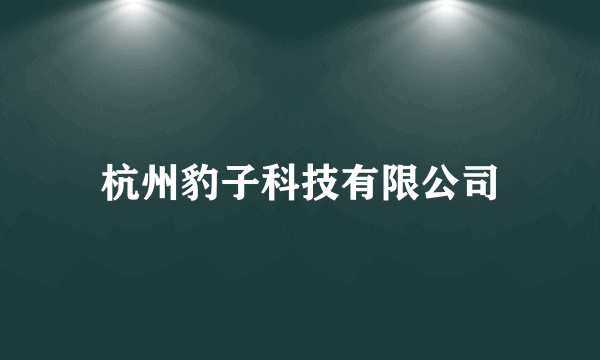 杭州豹子科技有限公司