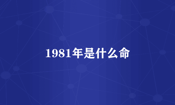 1981年是什么命