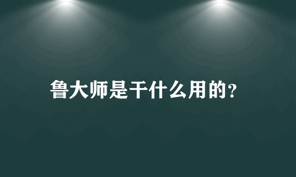 鲁大师是干什么用的？