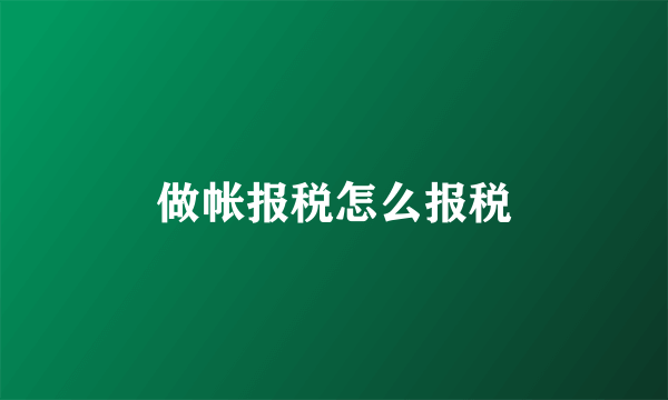 做帐报税怎么报税