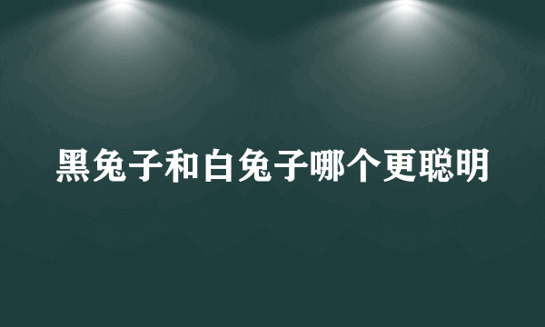 黑兔子和白兔子哪个更聪明