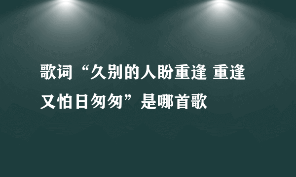 歌词“久别的人盼重逢 重逢又怕日匆匆”是哪首歌