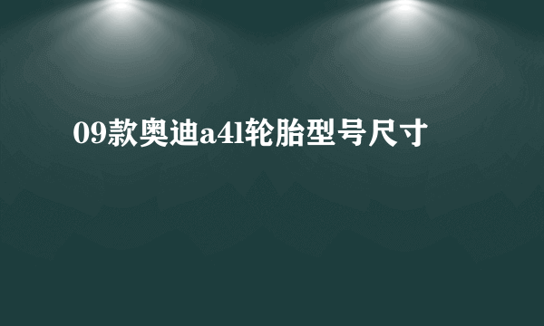 09款奥迪a4l轮胎型号尺寸