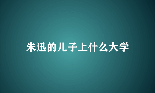 朱迅的儿子上什么大学