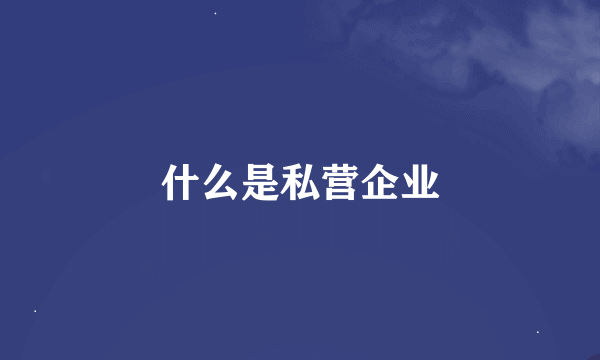 什么是私营企业