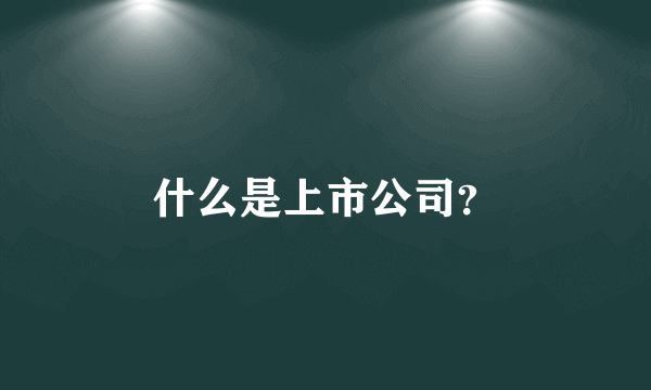 什么是上市公司？