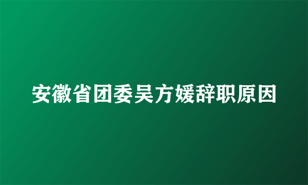 安徽省团委吴方媛辞职原因