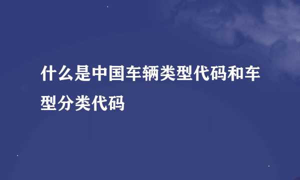 什么是中国车辆类型代码和车型分类代码