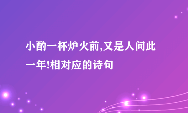 小酌一杯炉火前,又是人间此一年!相对应的诗句