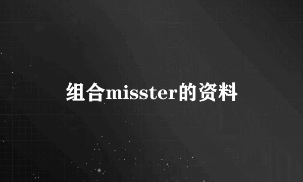 组合misster的资料